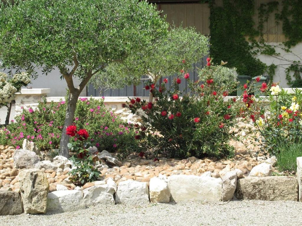Vieux Graveson